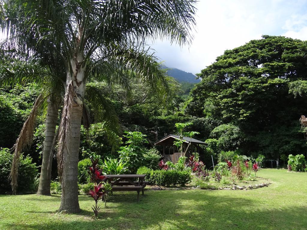 Hana Mana Villa Yakushima  Rum bild