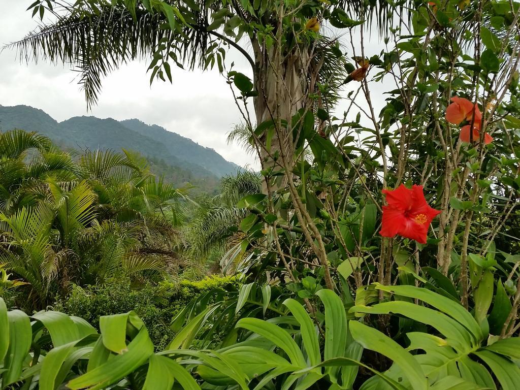 Hana Mana Villa Yakushima  Exteriör bild